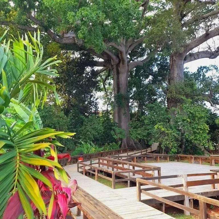 Gold Nugget Hotel Negril Jamaica