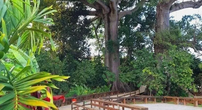 Gold Nugget Hotel Negril